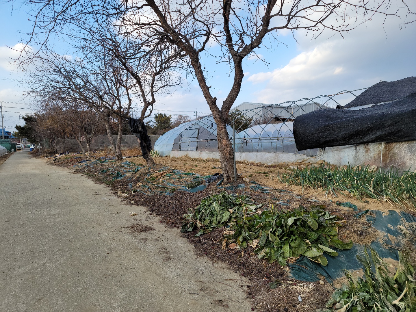 성주읍 작은땅 매매 사진 - 8