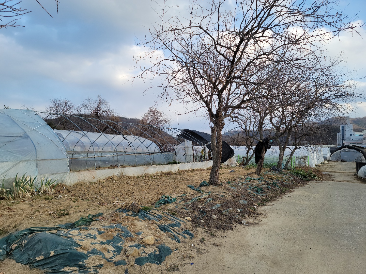 성주읍 작은땅 매매 사진 - 9