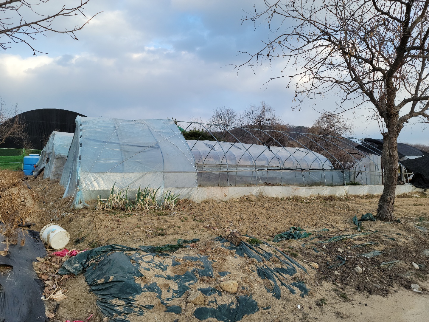 성주읍 작은땅 매매 사진 - 5