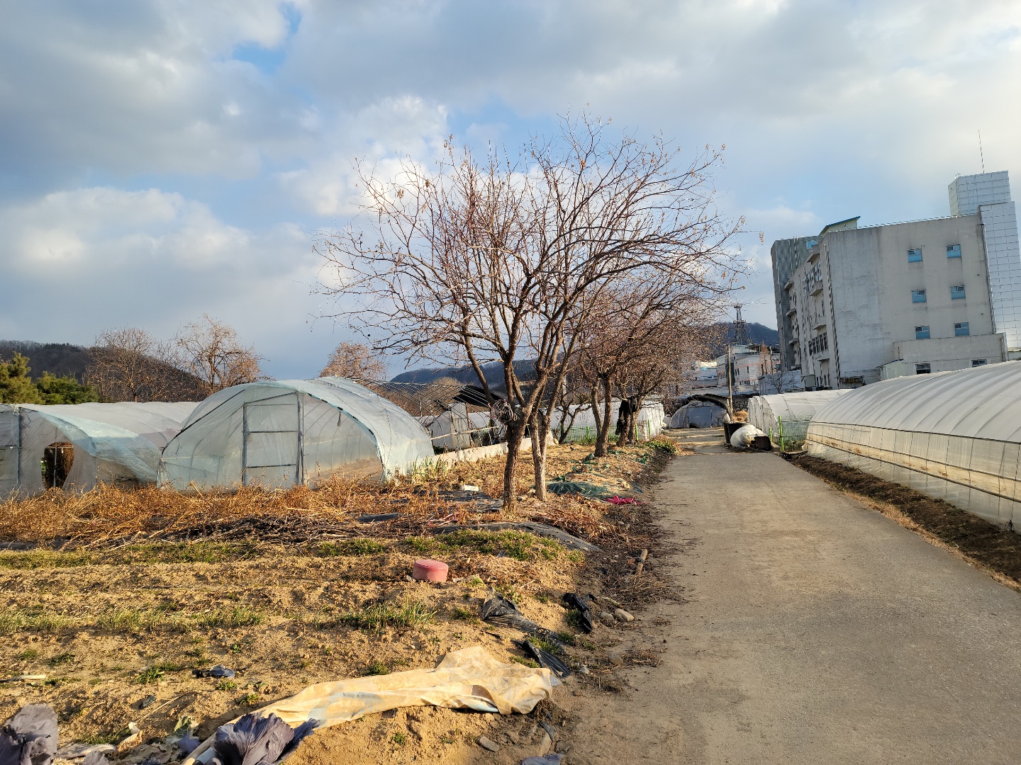 성주읍 작은땅 매매 사진 - 4