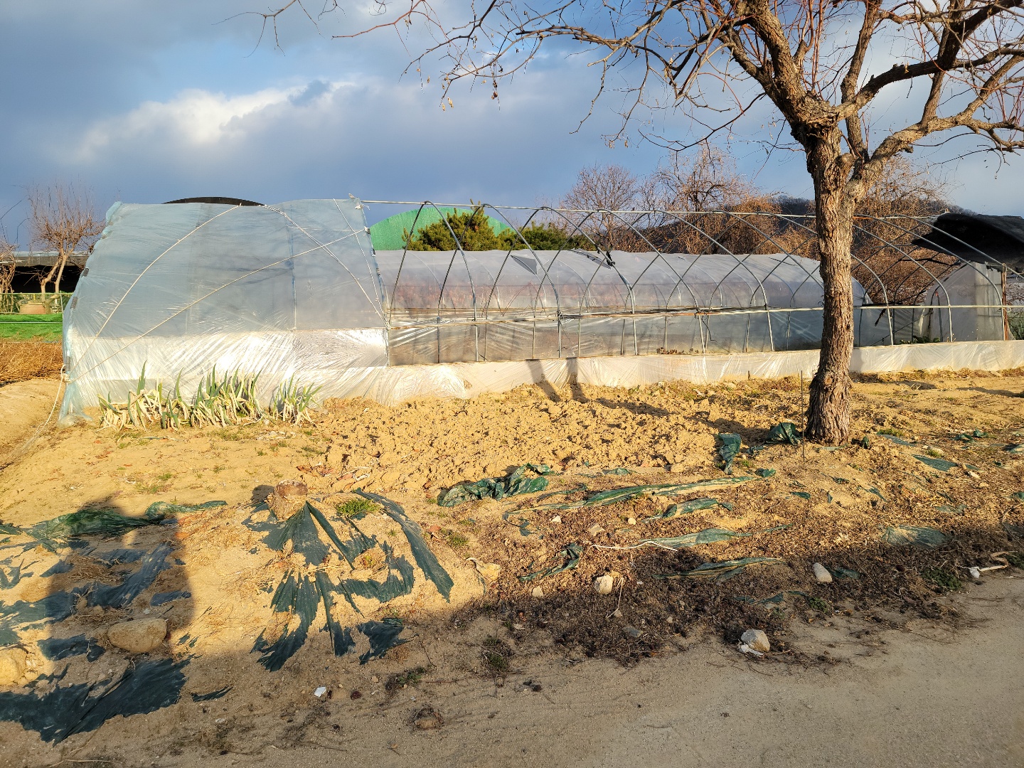 성주읍 작은땅 매매 사진 - 3