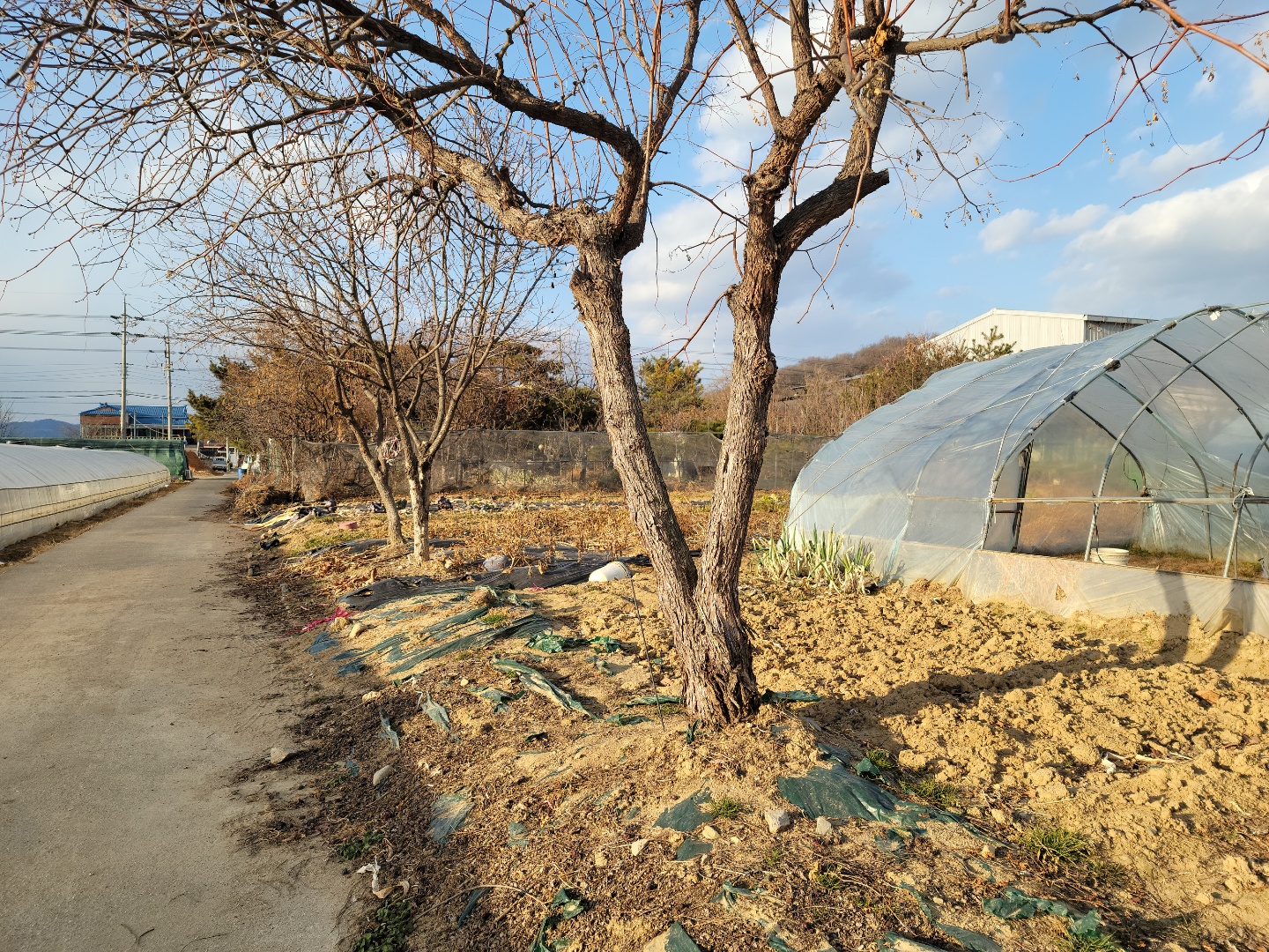 성주읍 작은땅 매매 사진 - 2