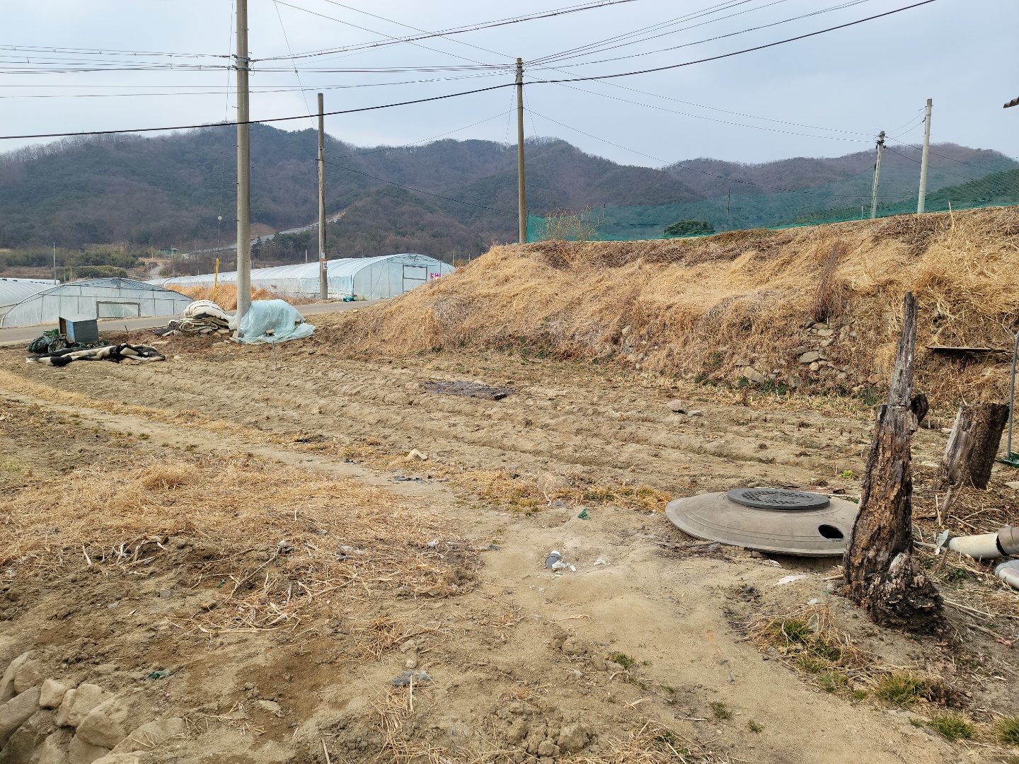 월항면 시골집 매매 사진 - 2