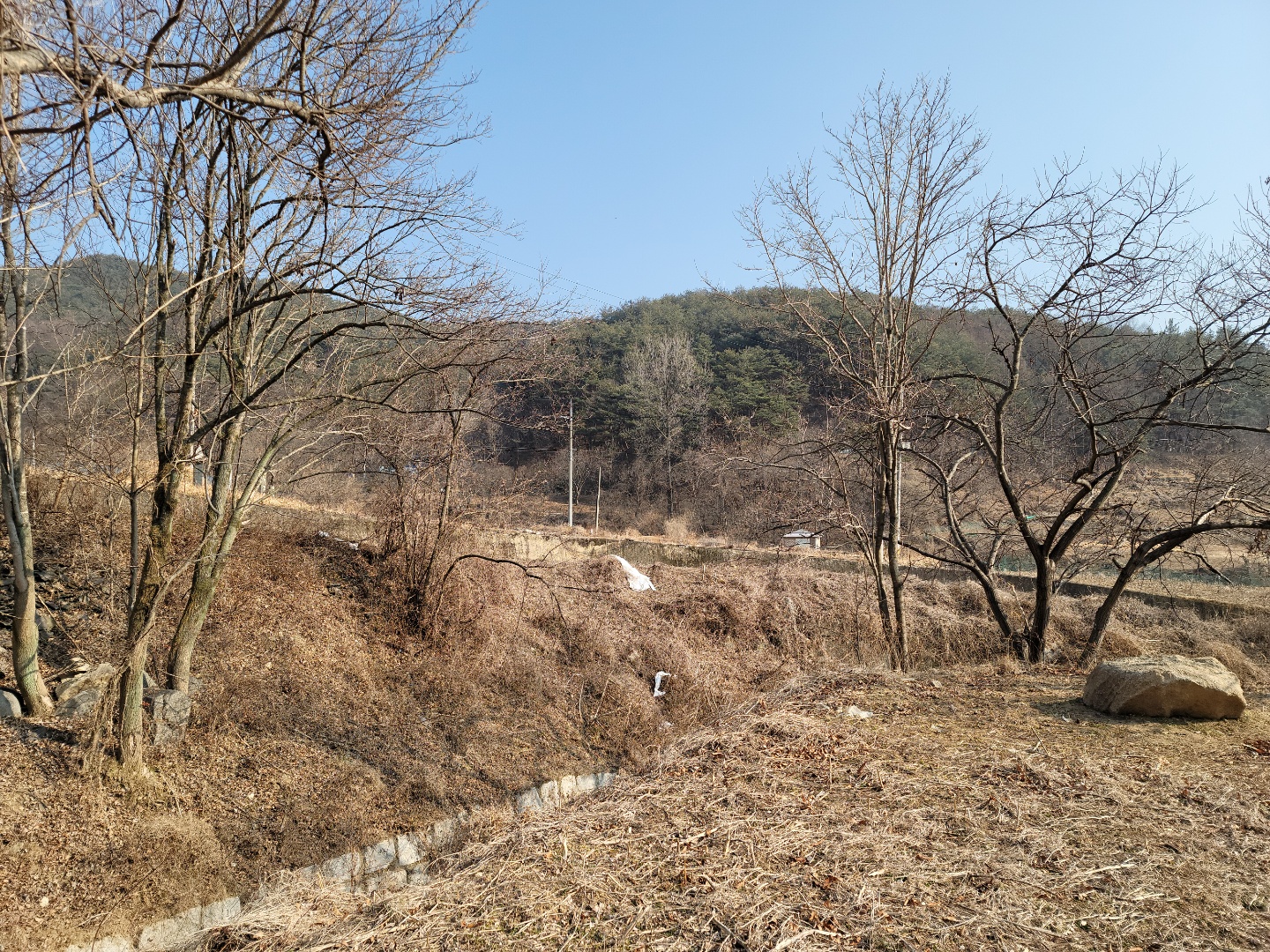 수륜면 텃밭쉼터땅 사진 - 7