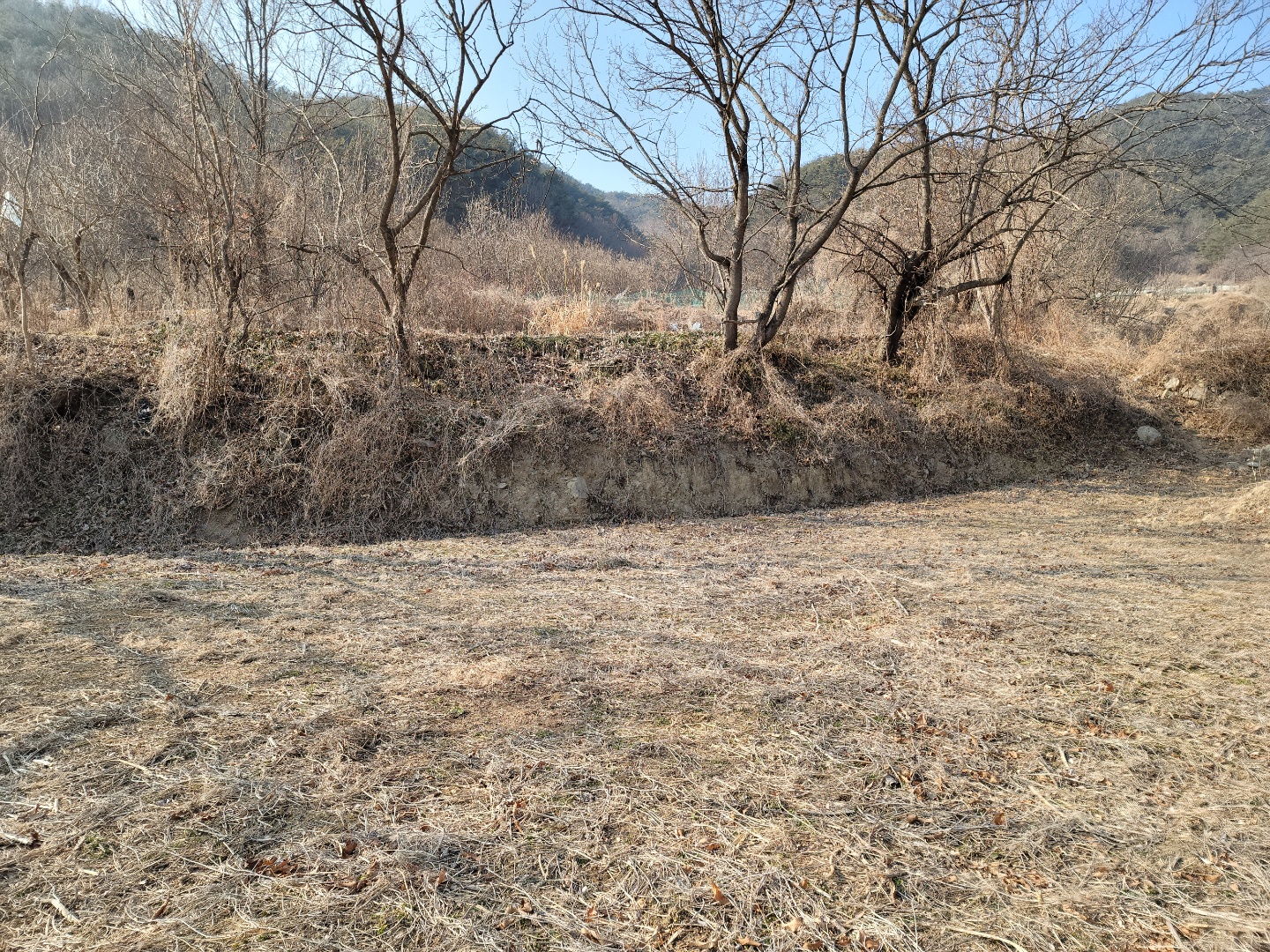 수륜면 텃밭쉼터땅 사진 - 6