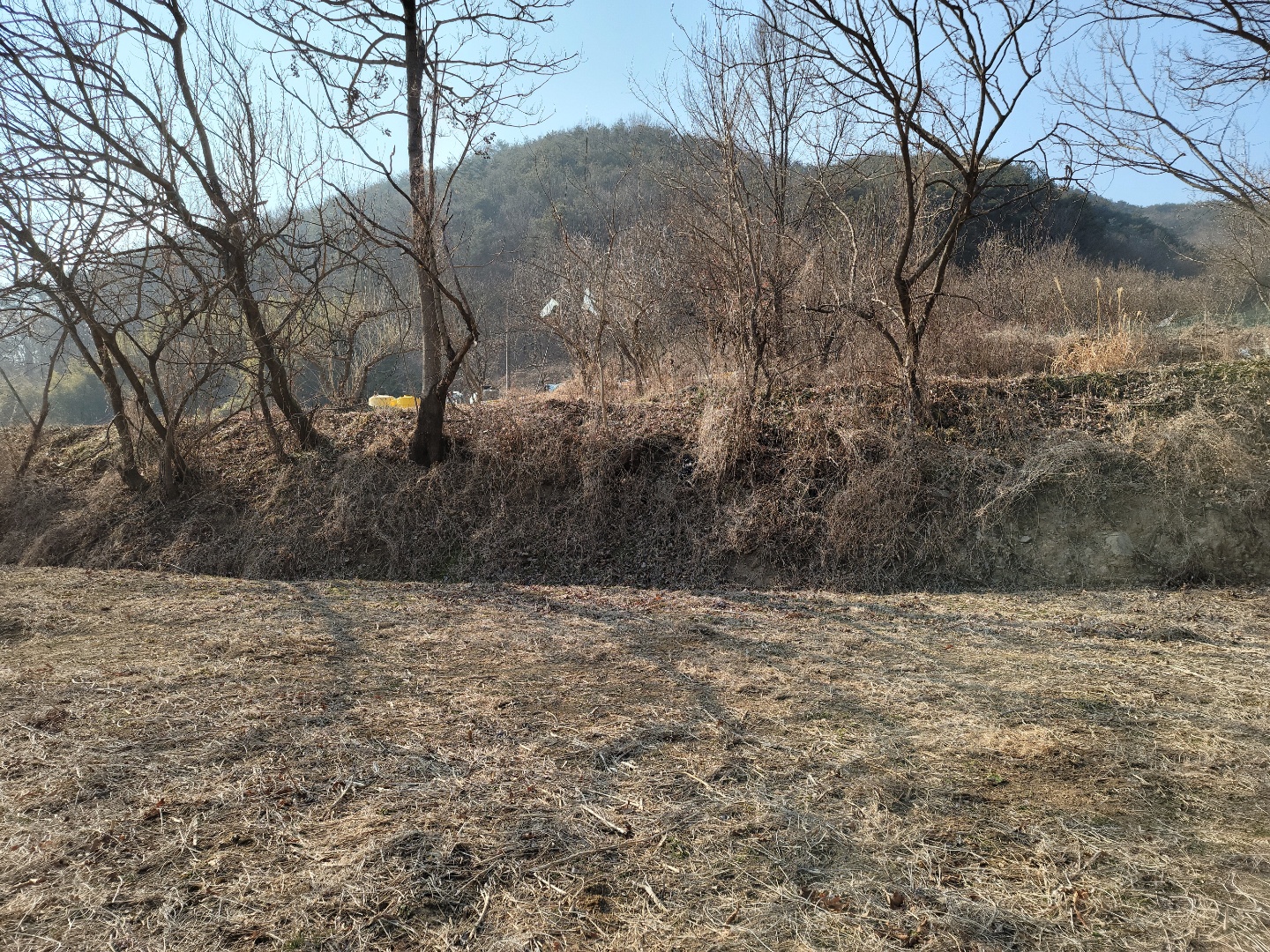 수륜면 텃밭쉼터땅 사진 - 5