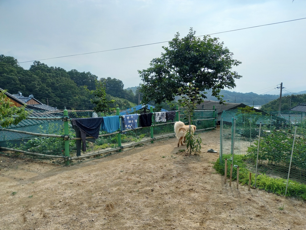 대가면 황토주택+주택 매매 사진 - 3