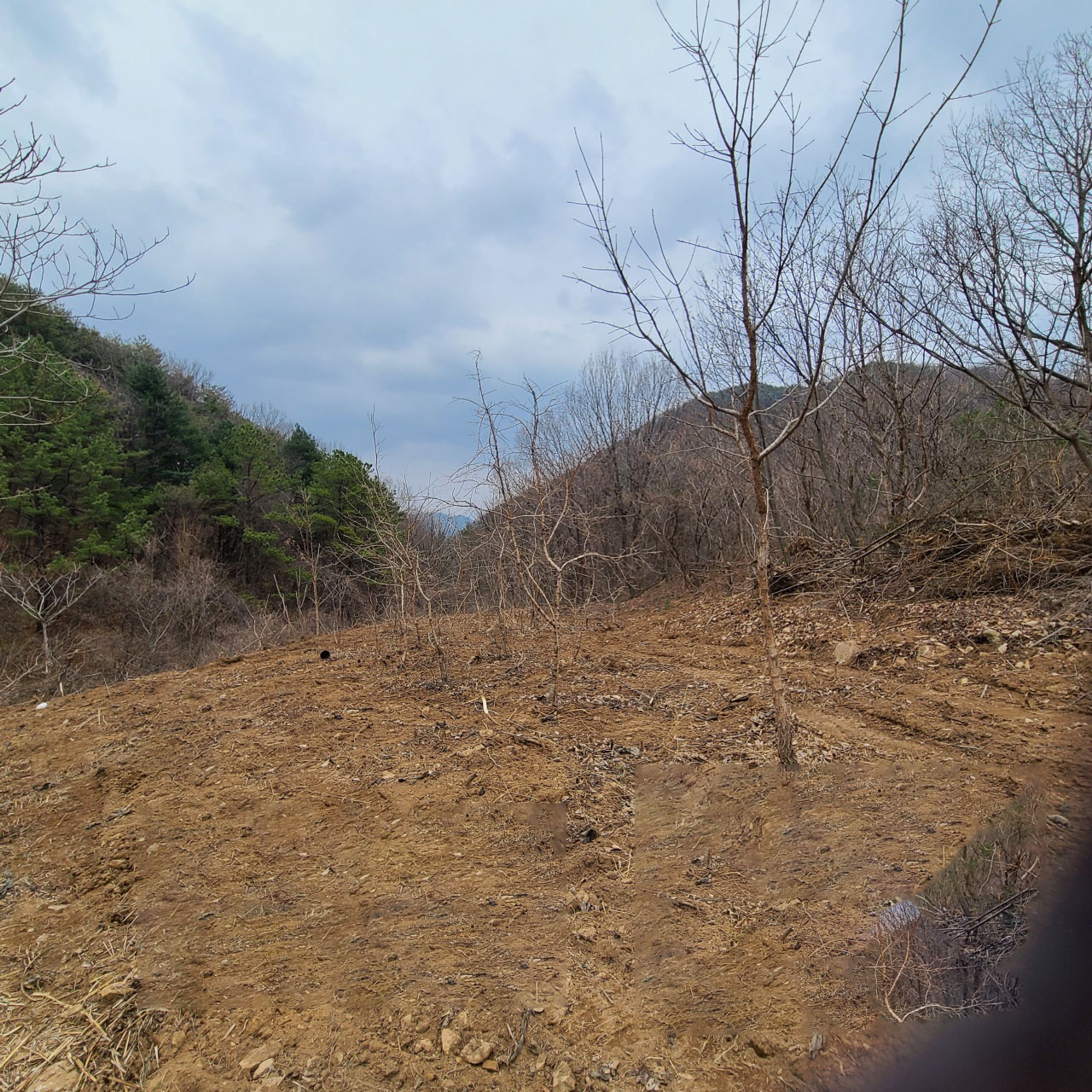 벽진면 청정지역 땅 매매 사진 - 3