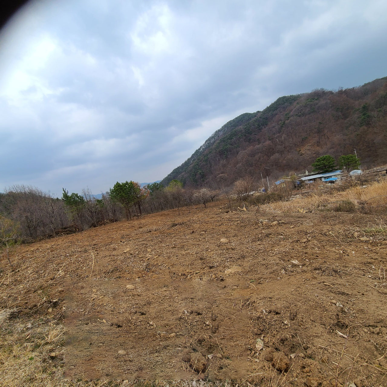 벽진면 청정지역 땅 매매 사진 - 2