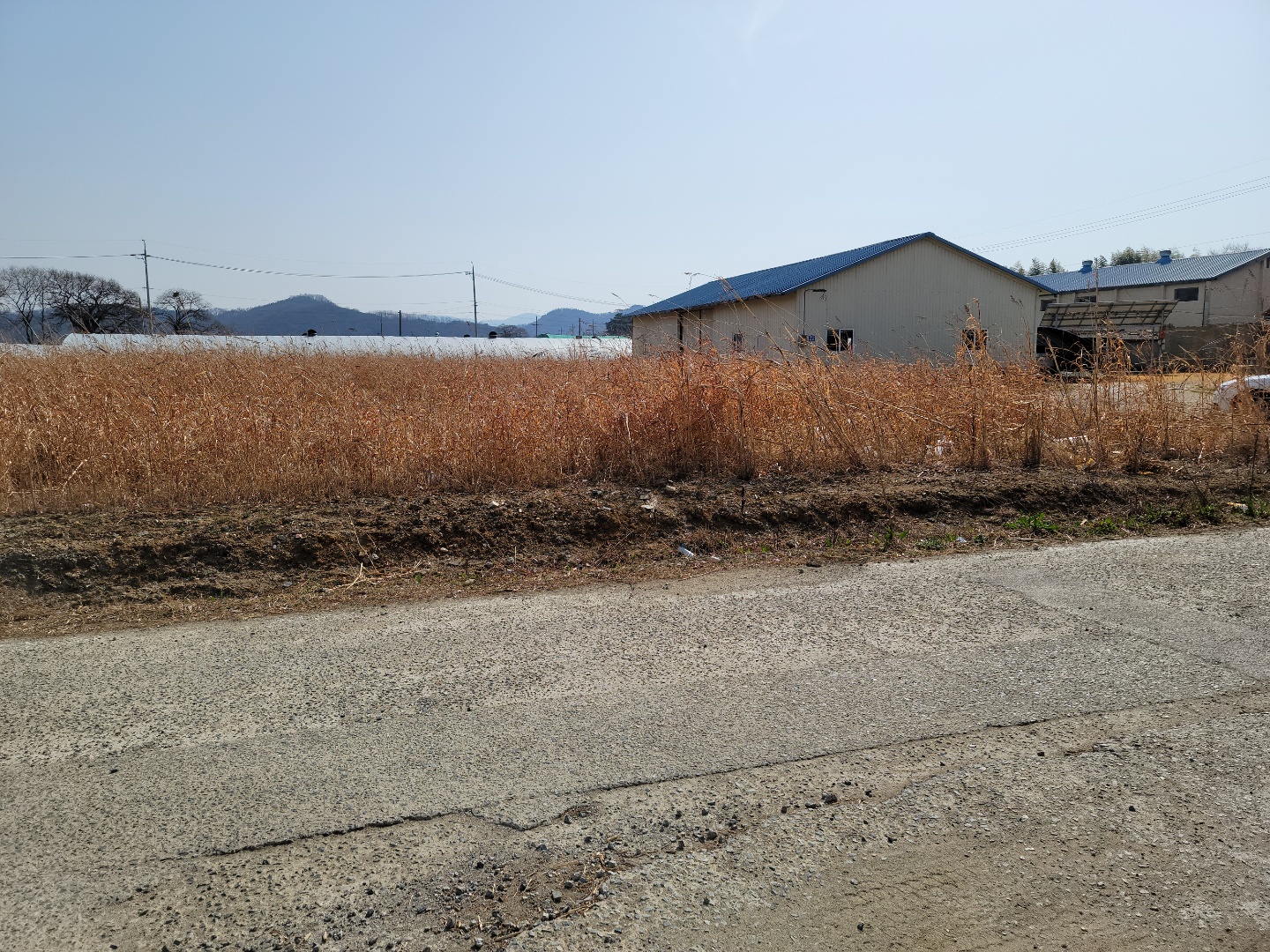 월항면 다용도 땅 매매 사진 - 3