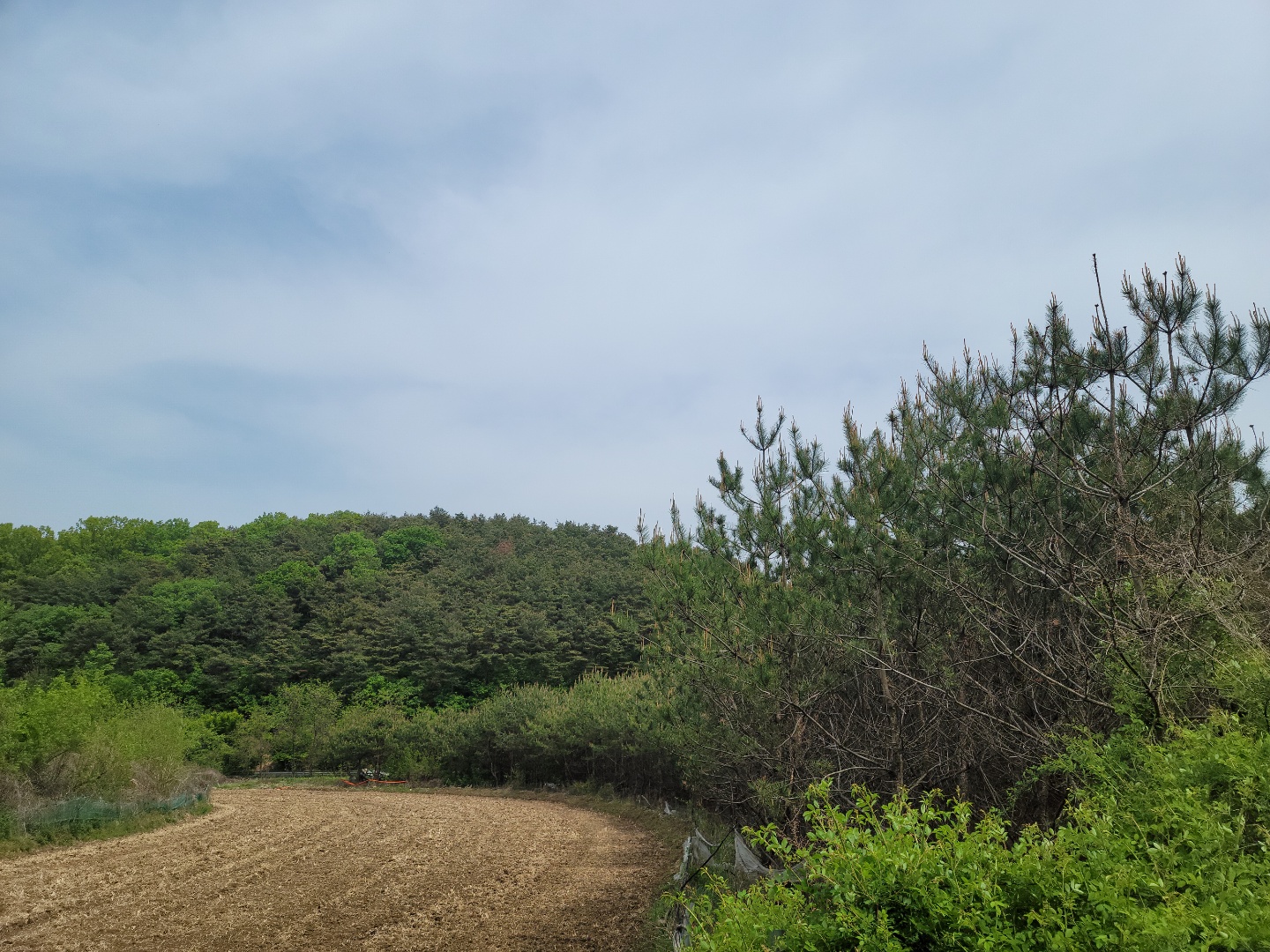용암면 전원주택지 매매 사진 - 9