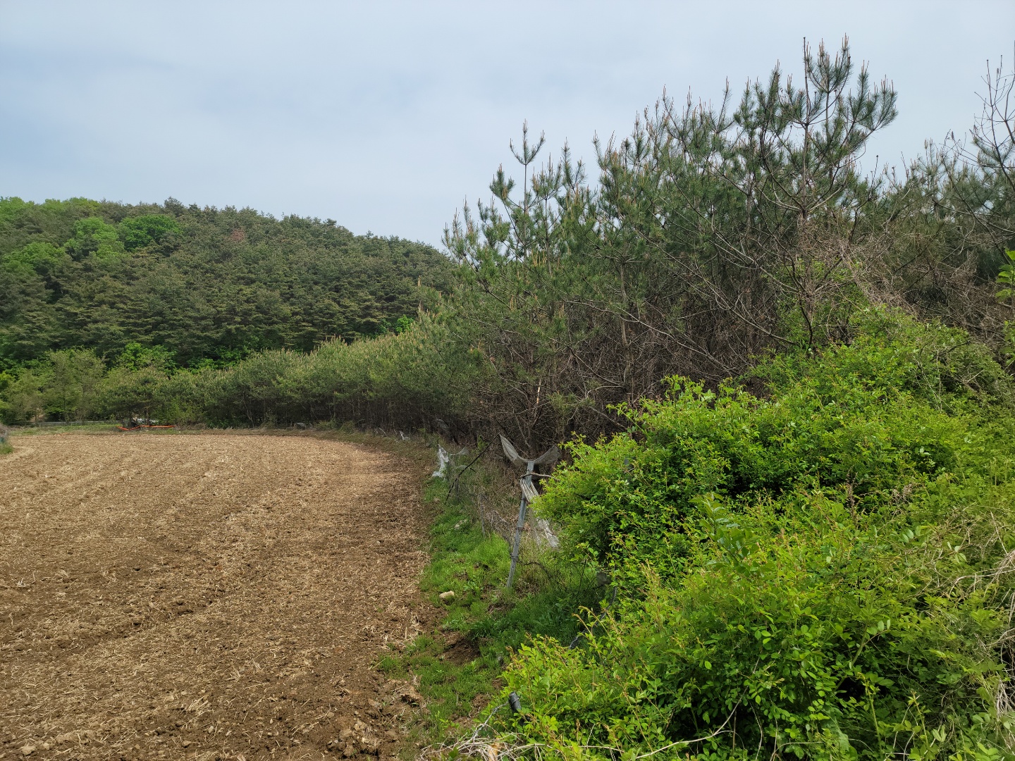 용암면 전원주택지 매매 사진 - 6