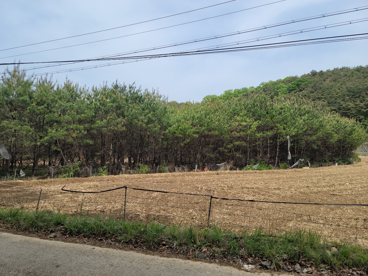 용암면 전원주택지 매매 사진 - 4