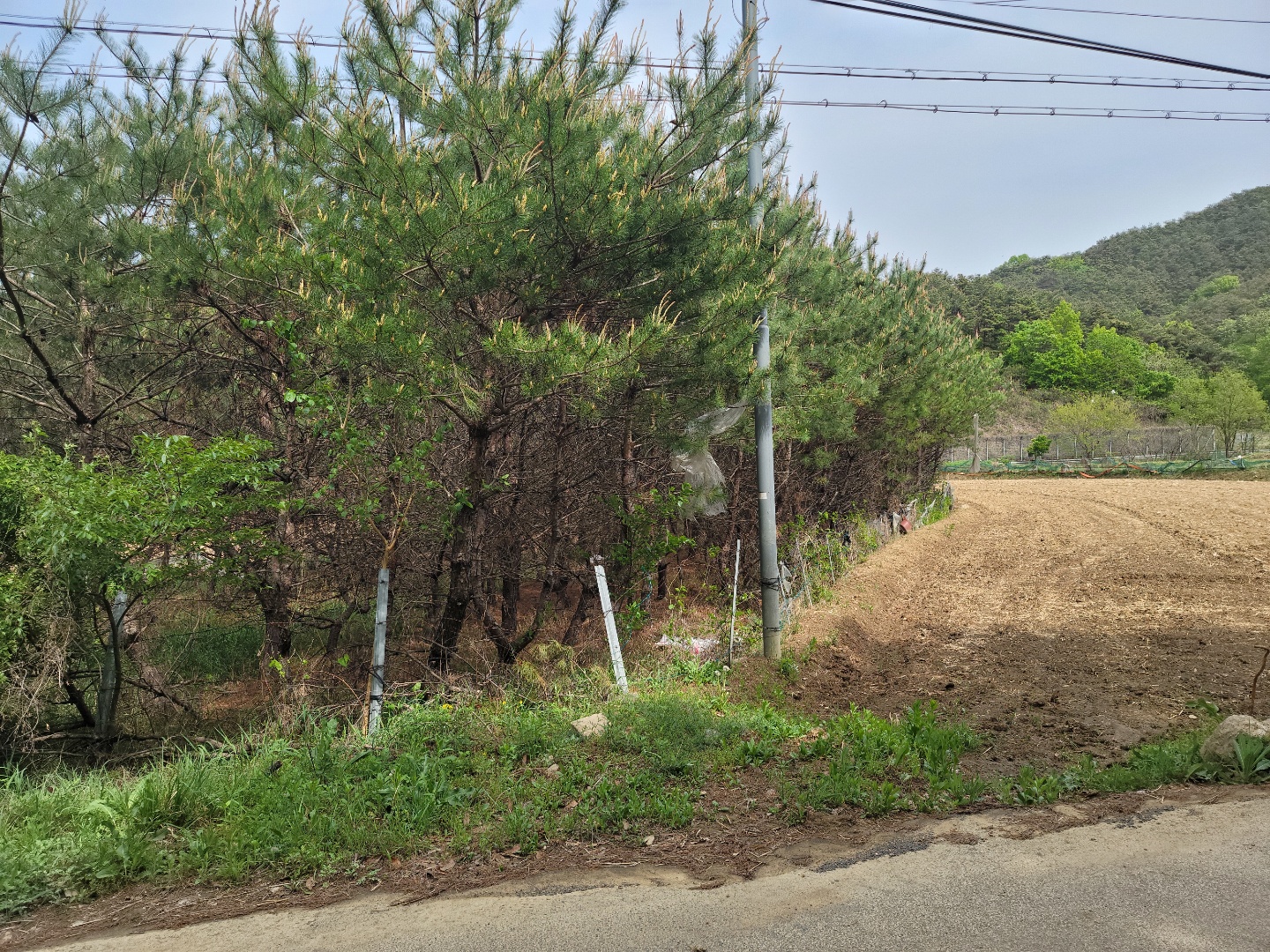 용암면 전원주택지 매매 사진 - 3