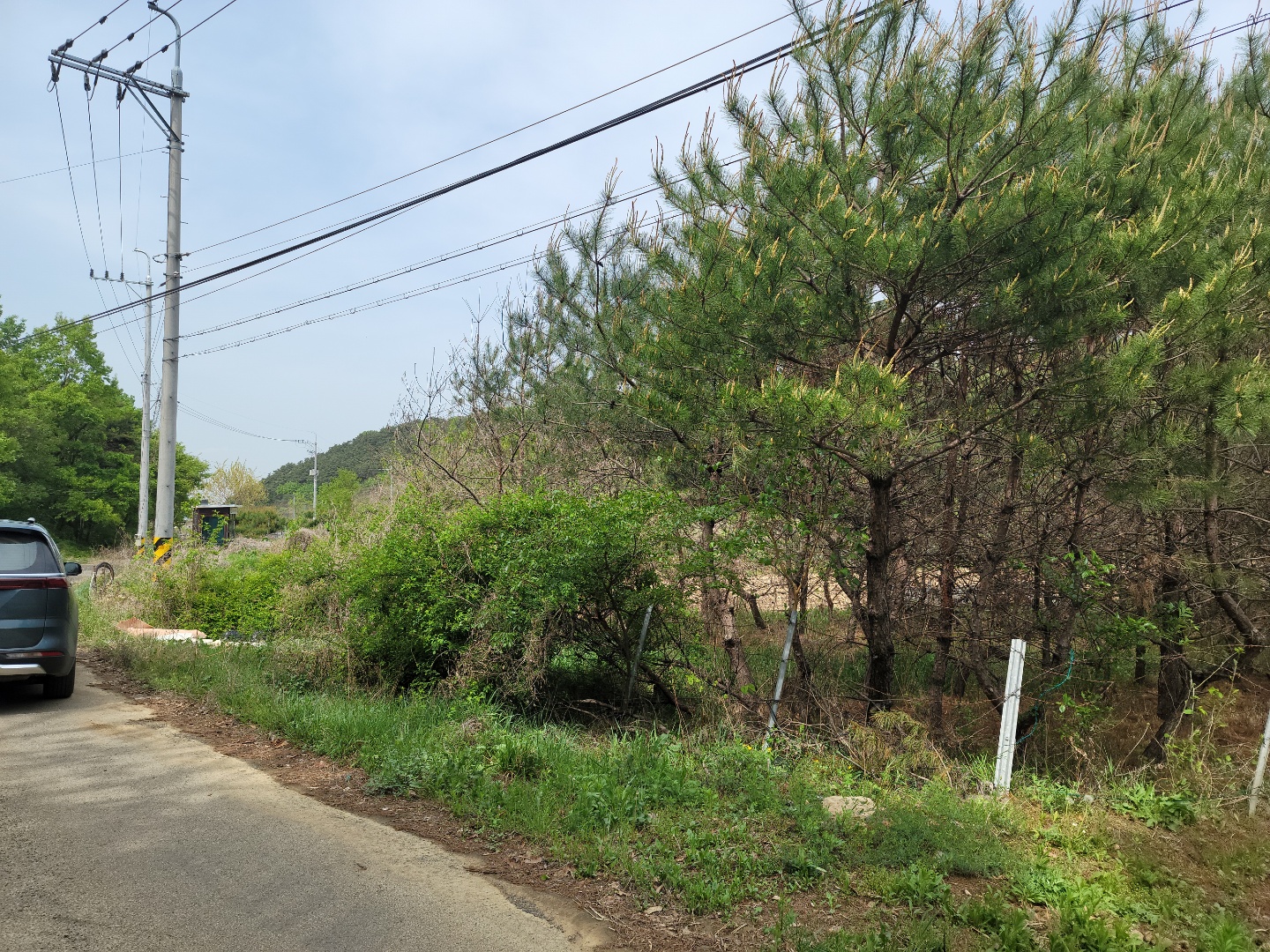 용암면 전원주택지 매매 사진 - 2