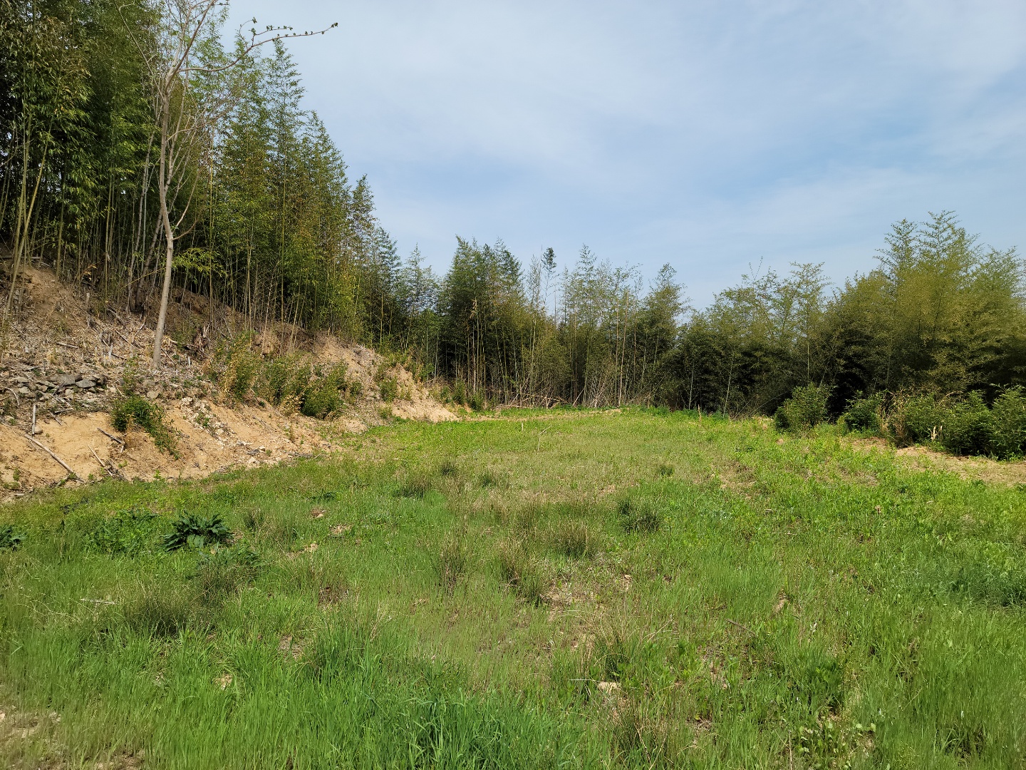 용암면 전망좋은 주택지 매매 사진 - 9