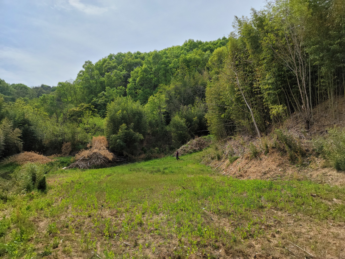 용암면 전망좋은 주택지 매매 사진 - 8