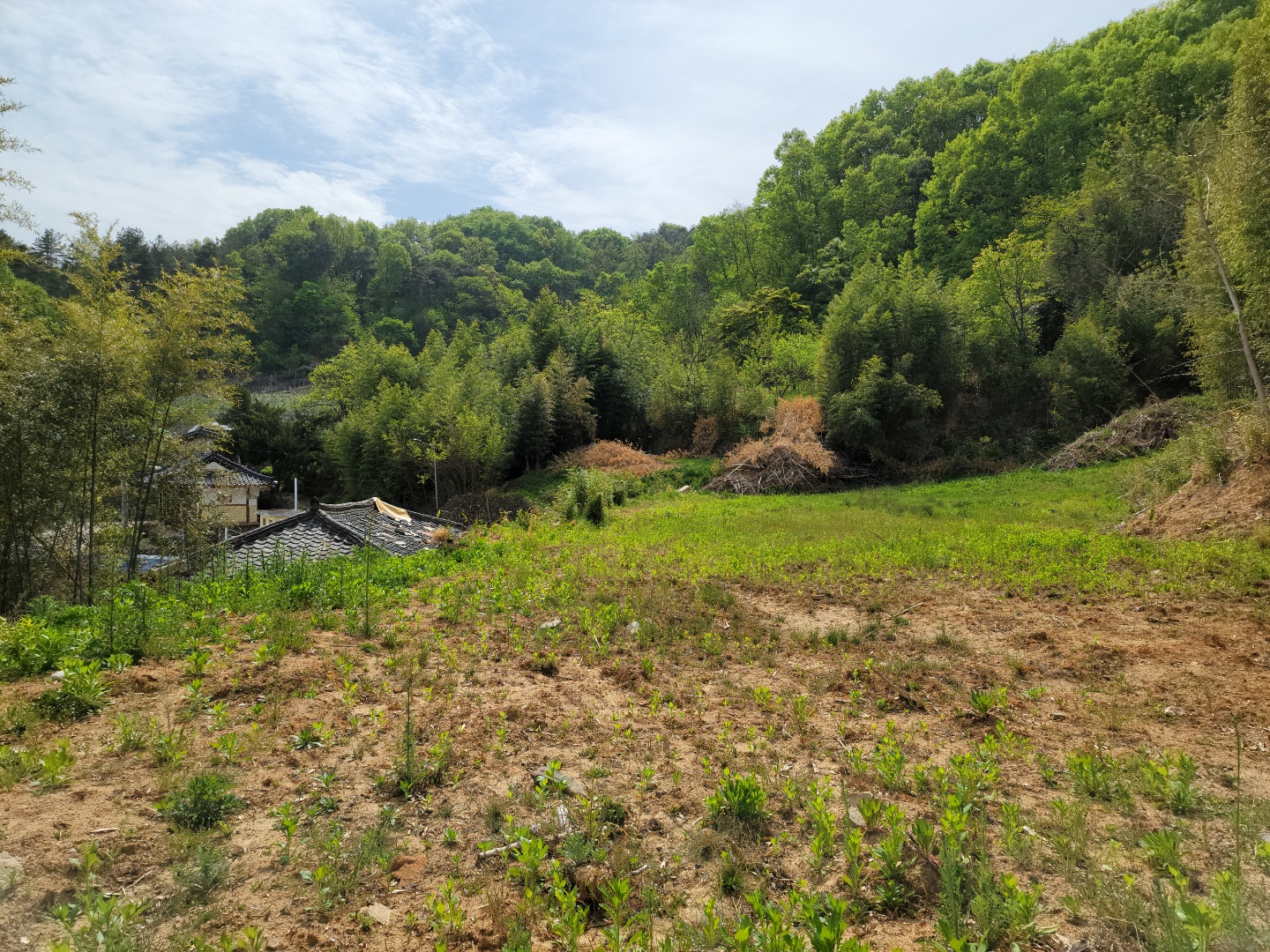 용암면 전망좋은 주택지 매매 사진 - 7