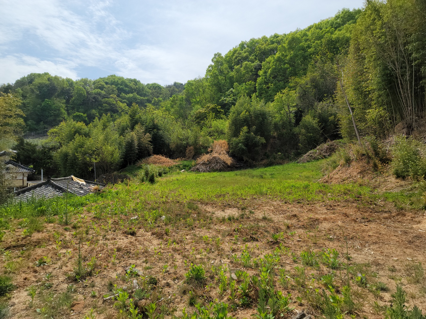 용암면 전망좋은 주택지 매매 사진 - 6