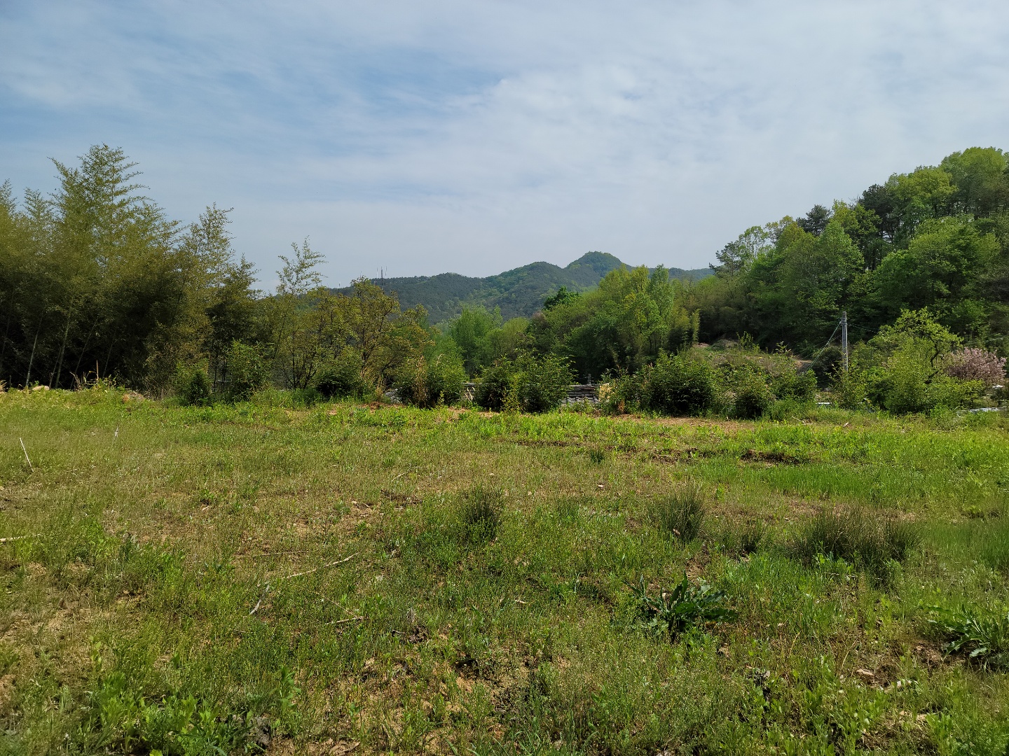 용암면 전망좋은 주택지 매매 사진 - 5