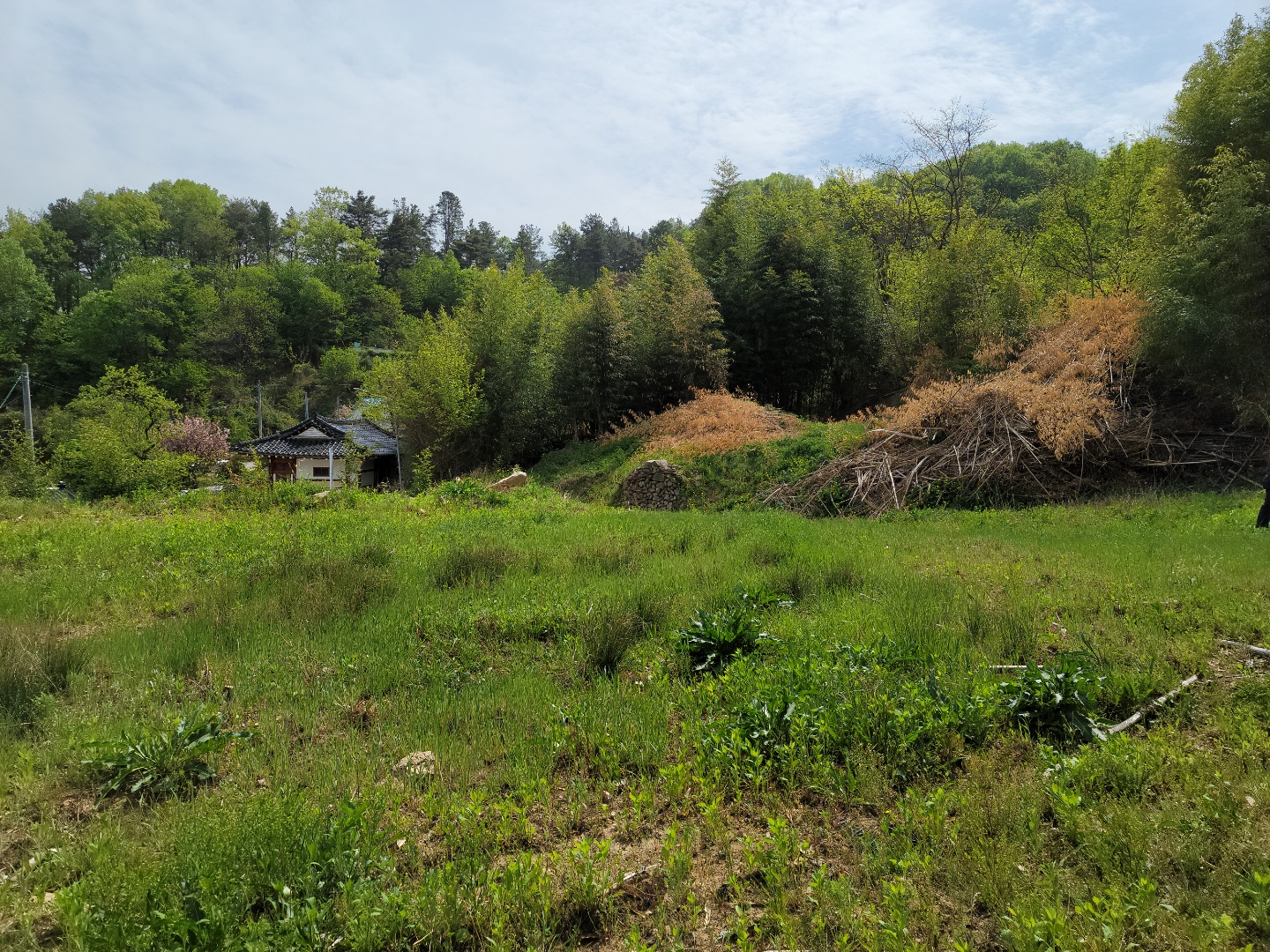 용암면 전망좋은 주택지 매매 사진 - 4