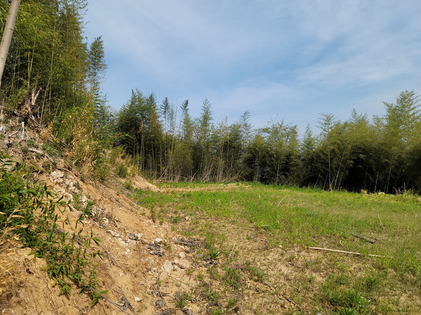 용암면 전망좋은 주택지 매매 사진 - 3