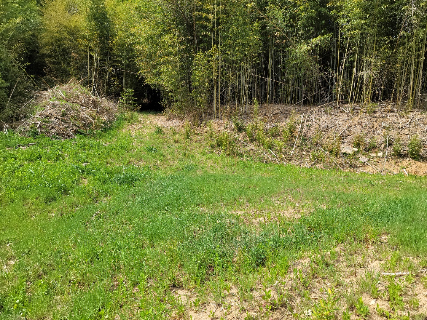 용암면 전망좋은 주택지 매매 사진 - 2