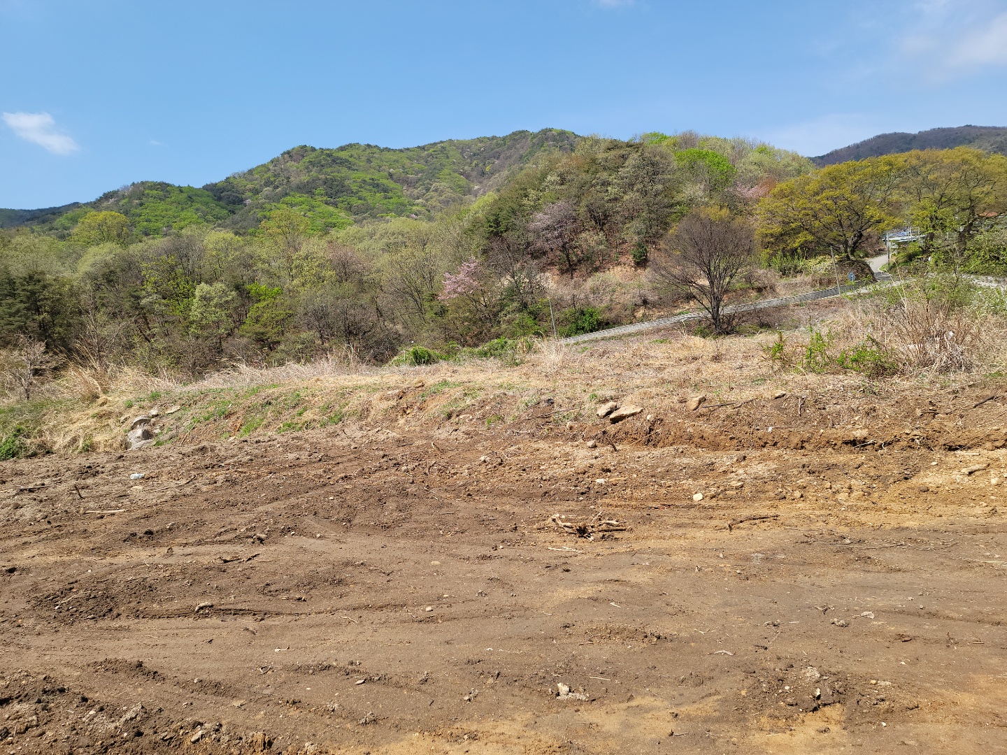 초전면 전망좋은 작은땅 사진 - 6