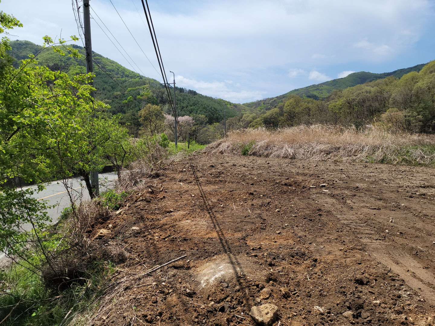 초전면 전망좋은 작은땅 사진 - 11