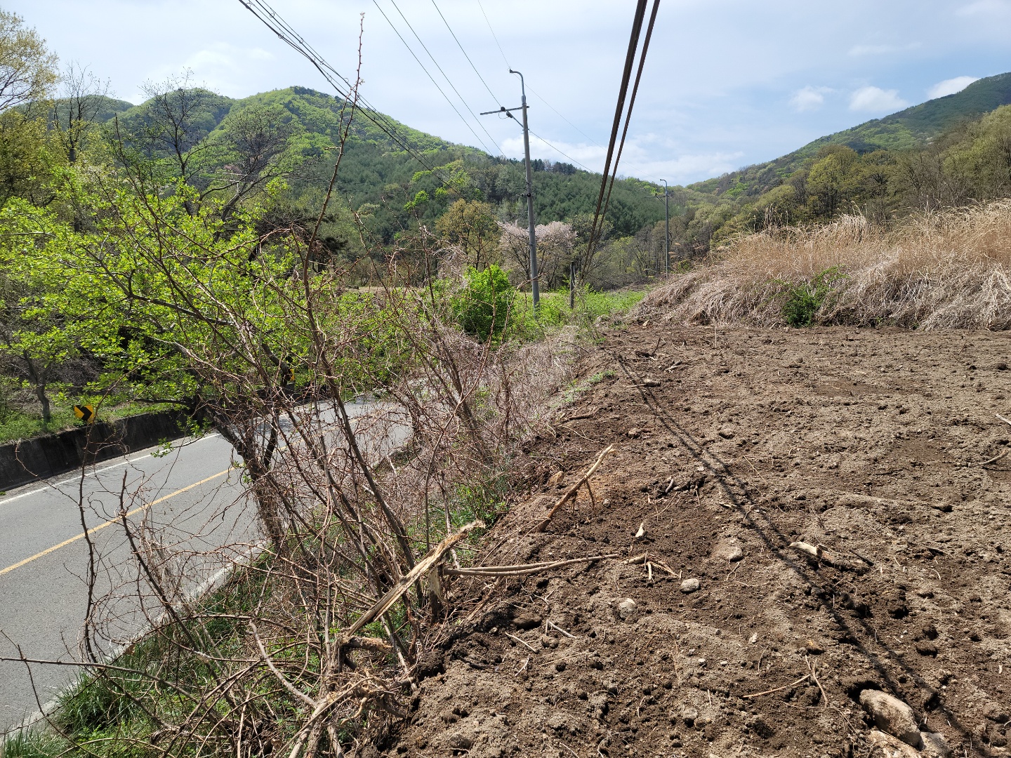 초전면 전망좋은 작은땅 사진 - 10