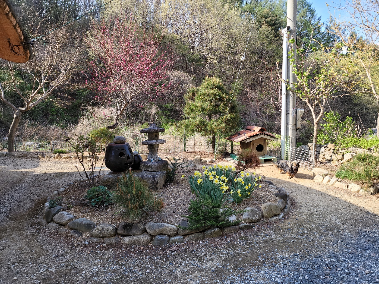 가천면 청정지역 황토주택 매매 사진 - 19