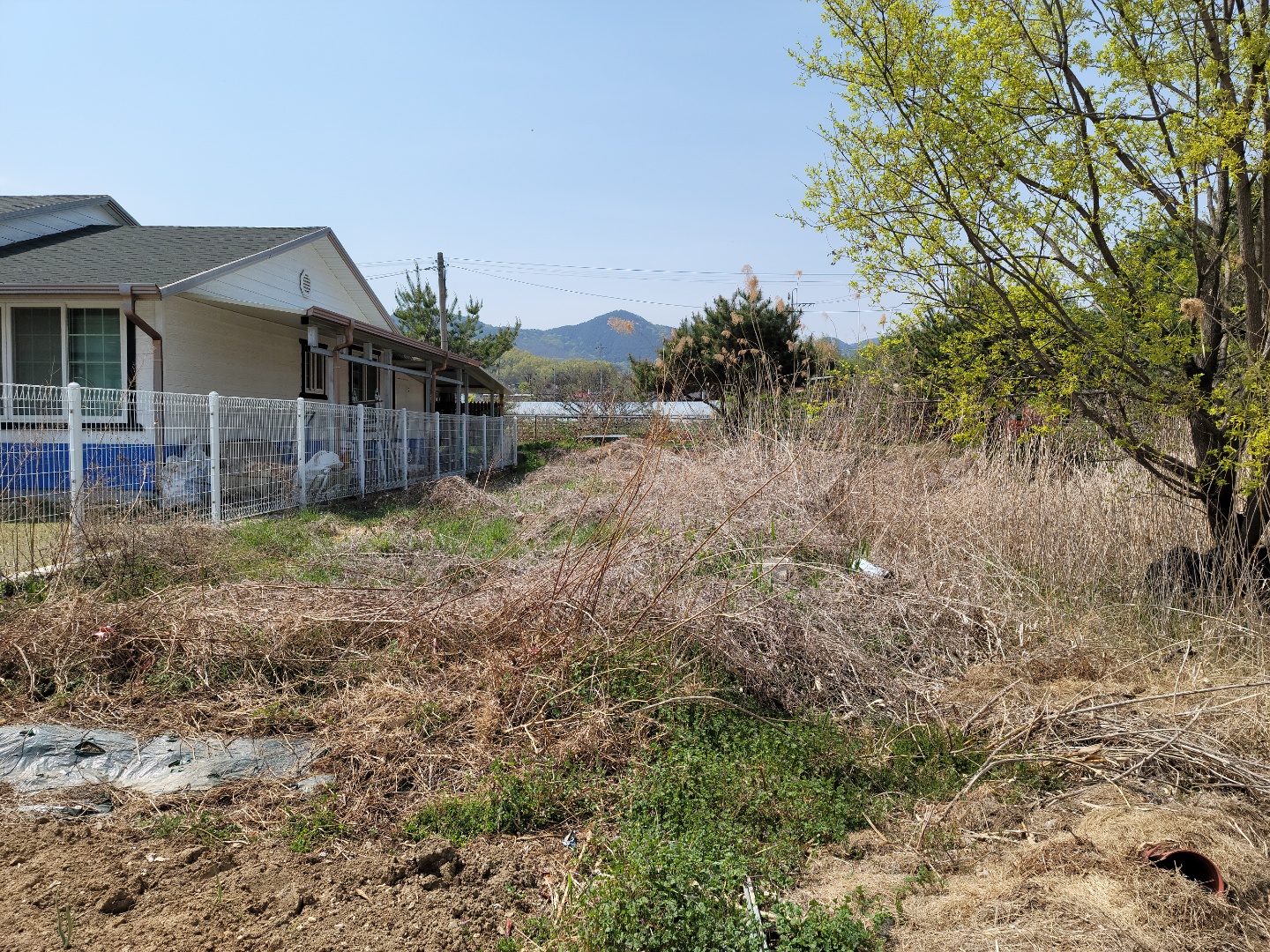 초전면 전원주택 텃밭매매 사진 - 6