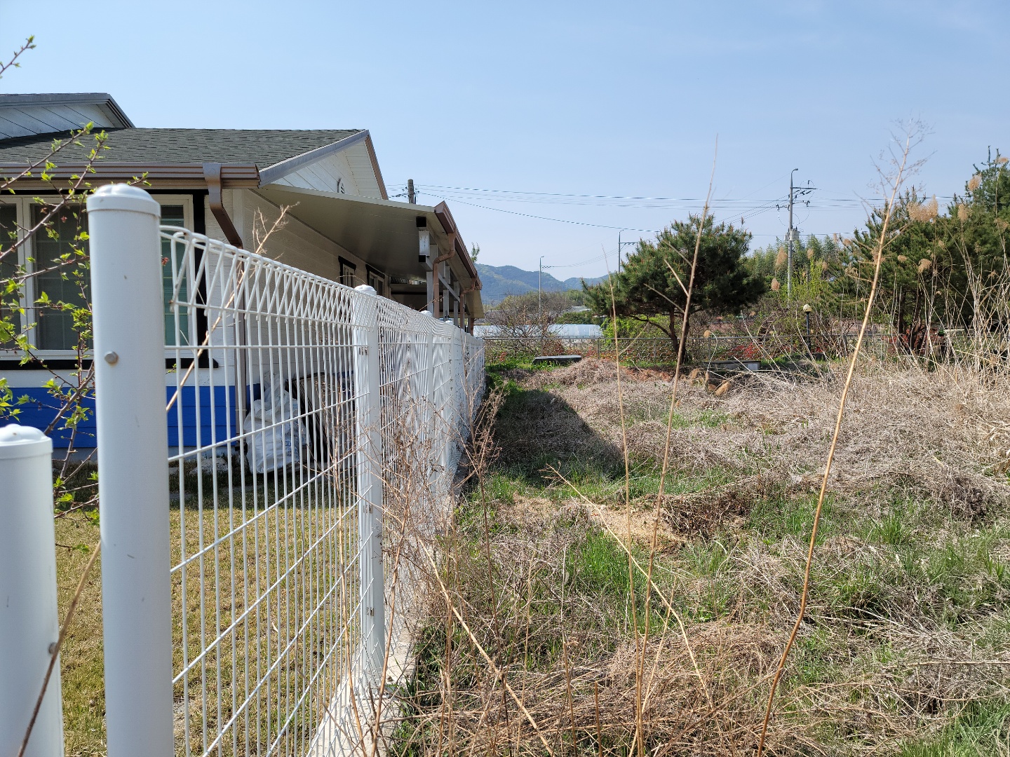 초전면 전원주택 텃밭매매 사진 - 7