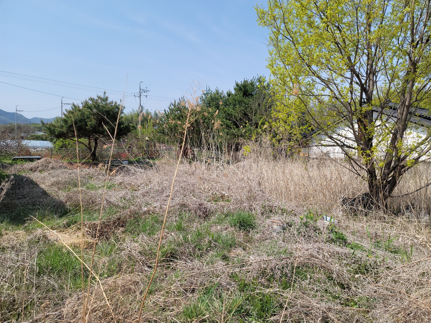 초전면 전원주택 텃밭매매 사진 - 4