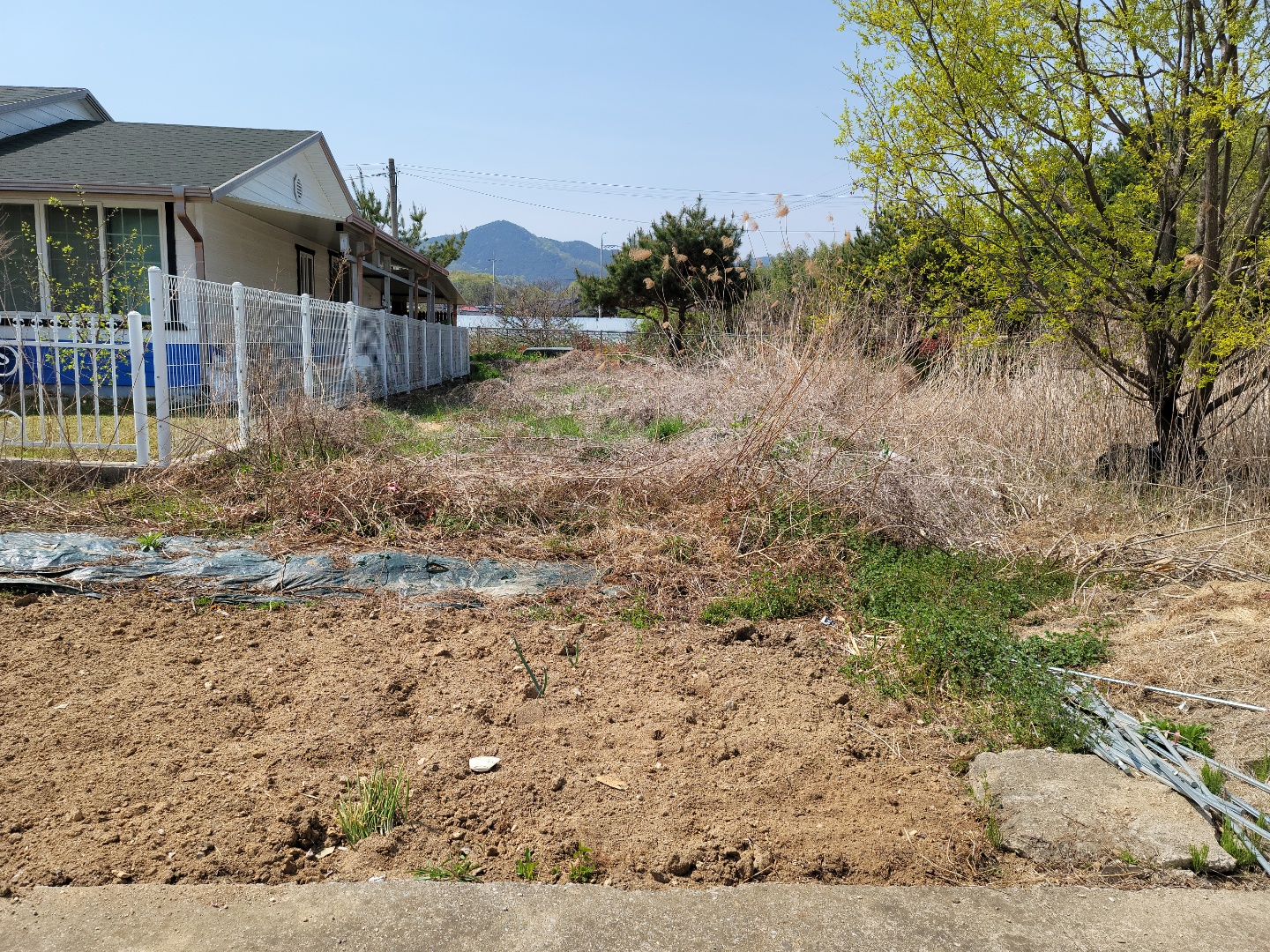 초전면 전원주택 텃밭매매 사진 - 3