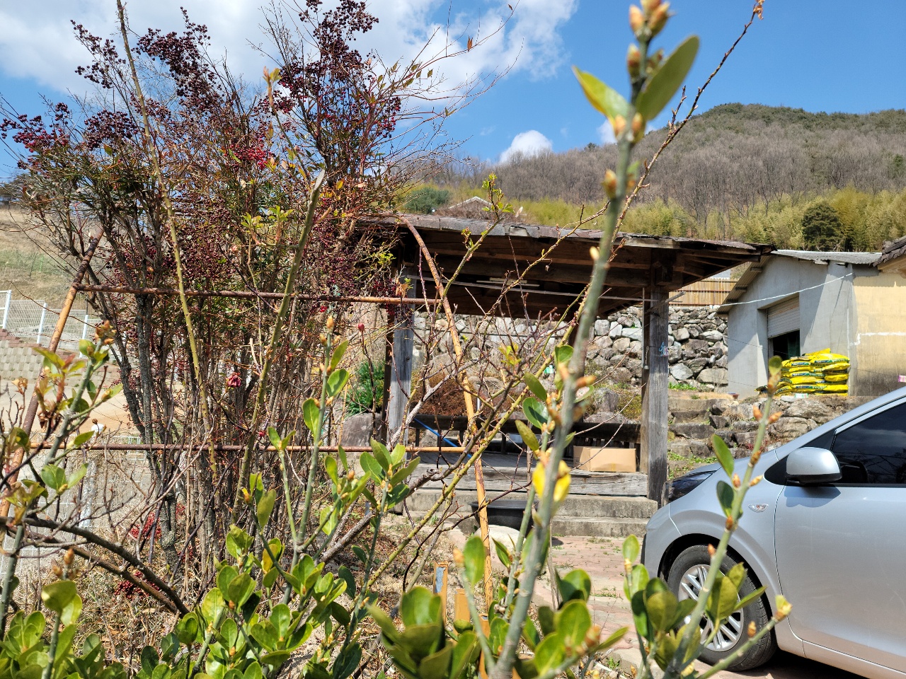 가천면 전망멋진 주택매매 사진 - 9