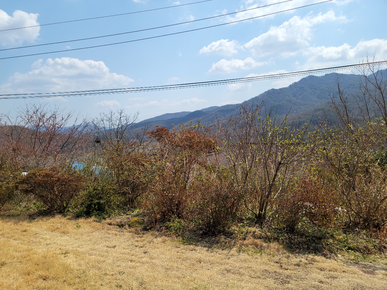 가천면 전망멋진 주택매매 사진 - 4