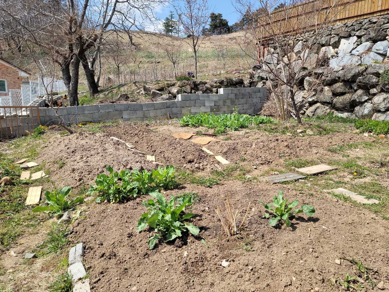 가천면 전망멋진 주택매매 사진 - 14