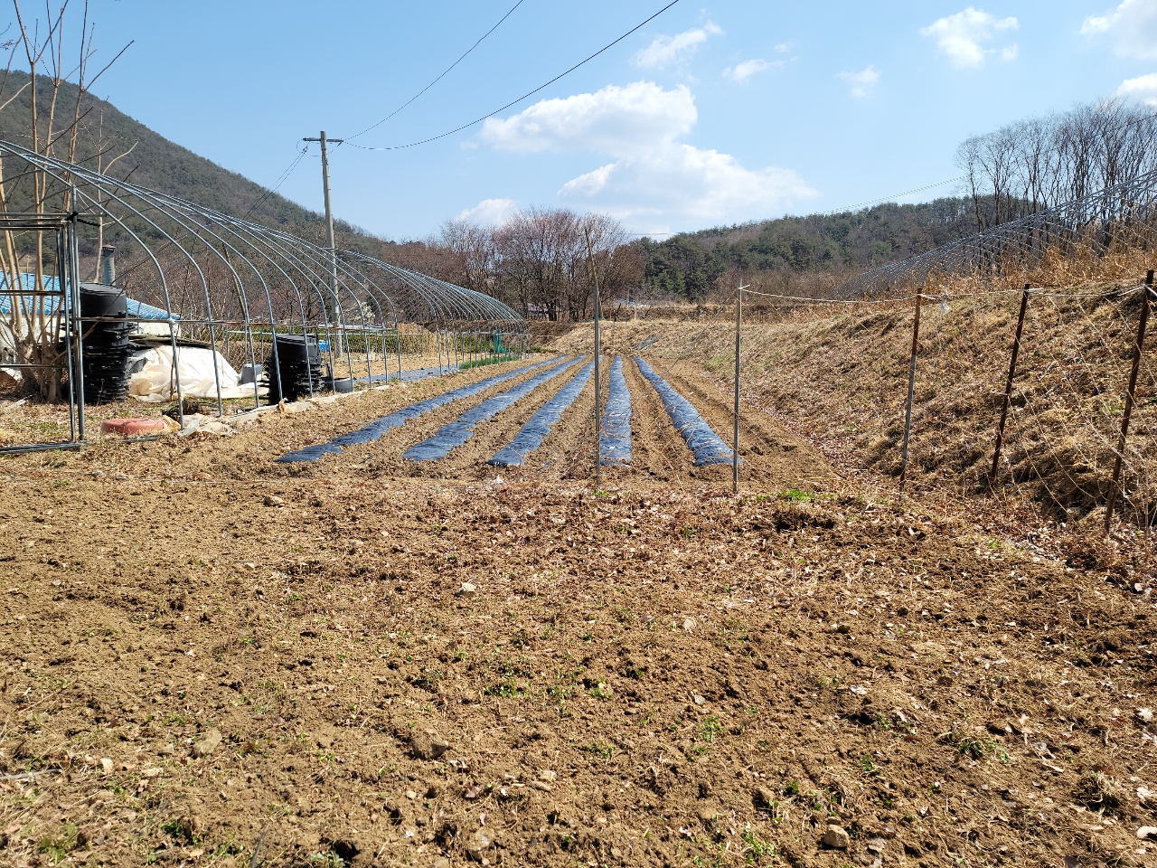 가야산 아래 다용도 땅 사진 - 6