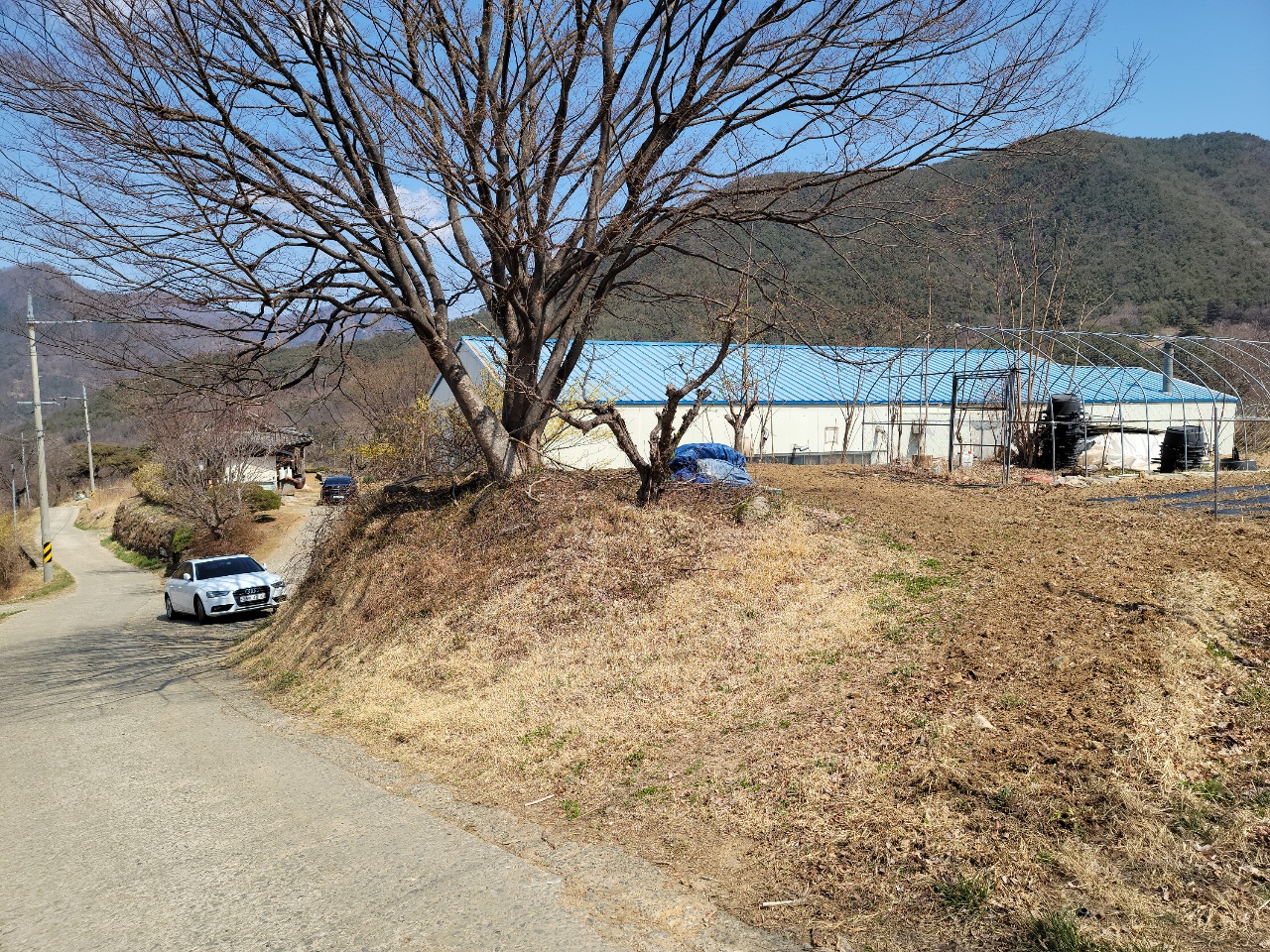 가야산 아래 다용도 땅 사진 - 5