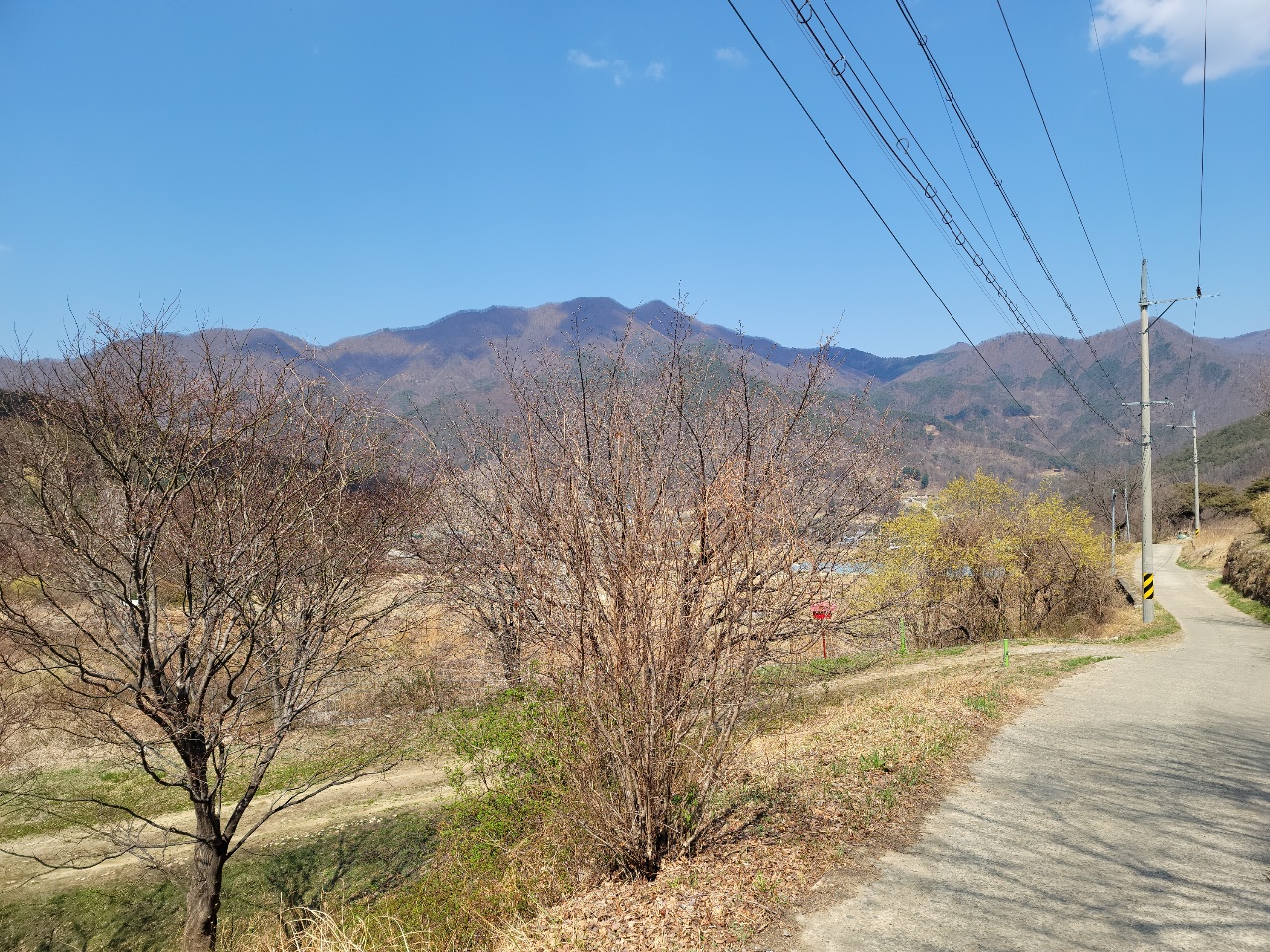 가야산 아래 다용도 땅 사진 - 13