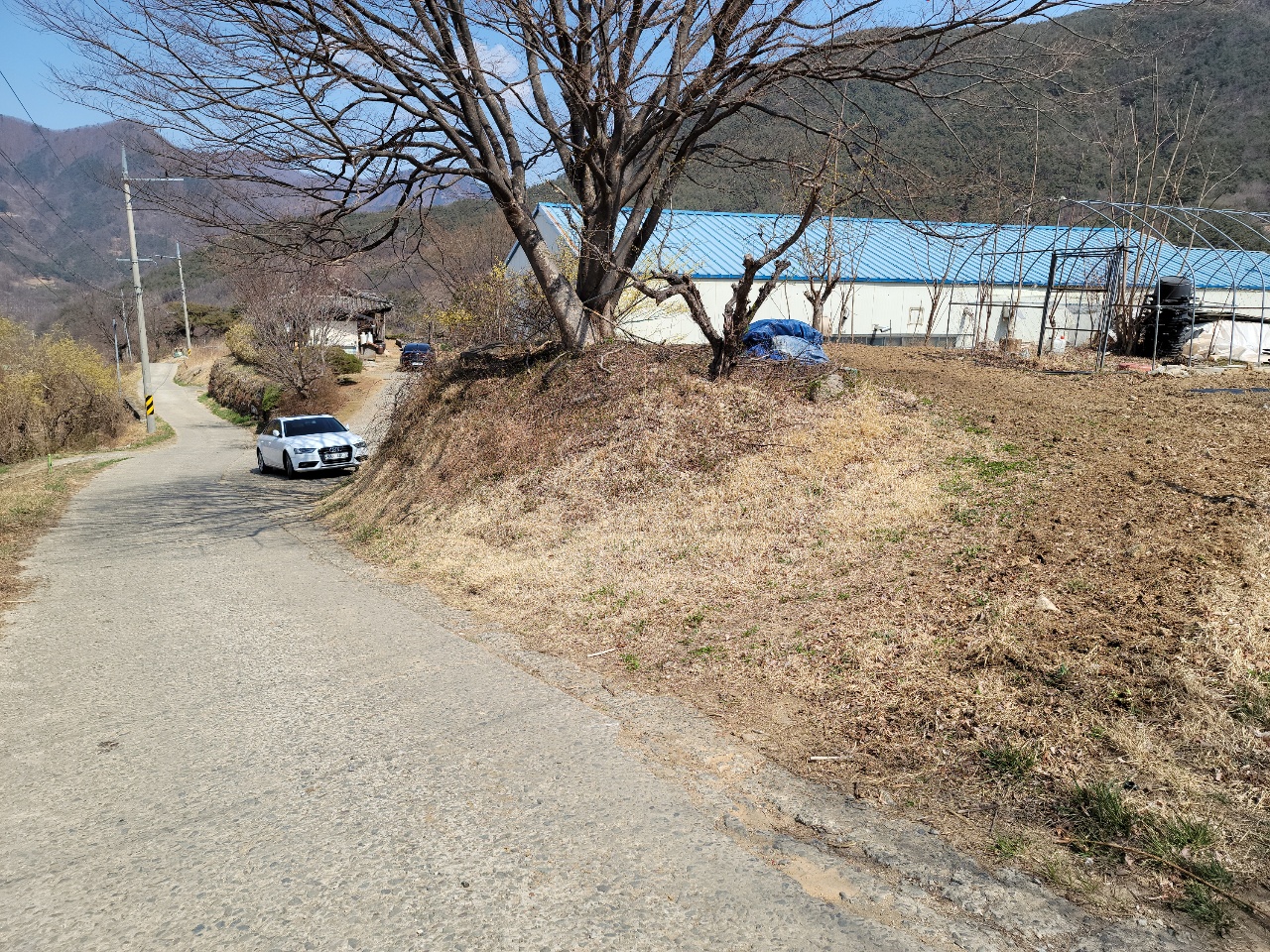 가야산 아래 다용도 땅 사진 - 12
