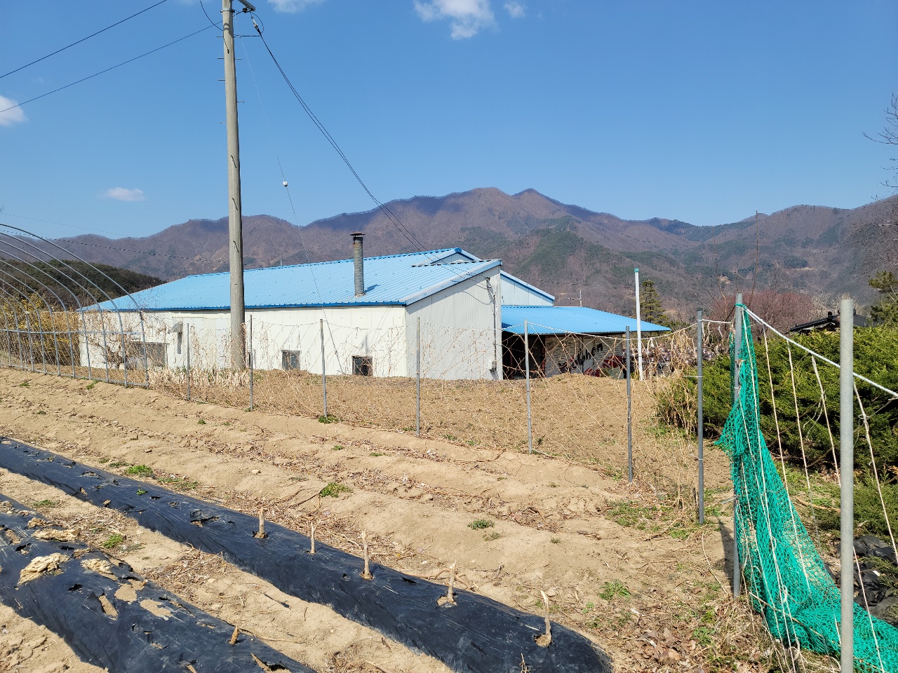 가야산 아래 다용도 땅 사진 - 11