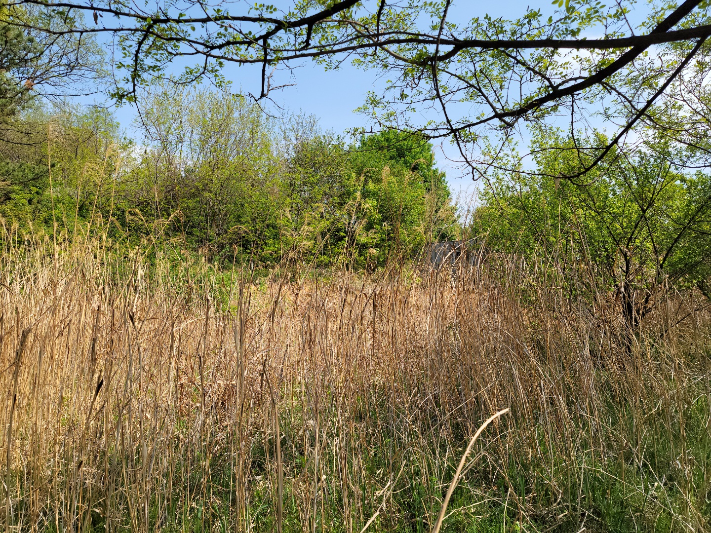 성주읍 예산리 전망좋은 땅 사진 - 2