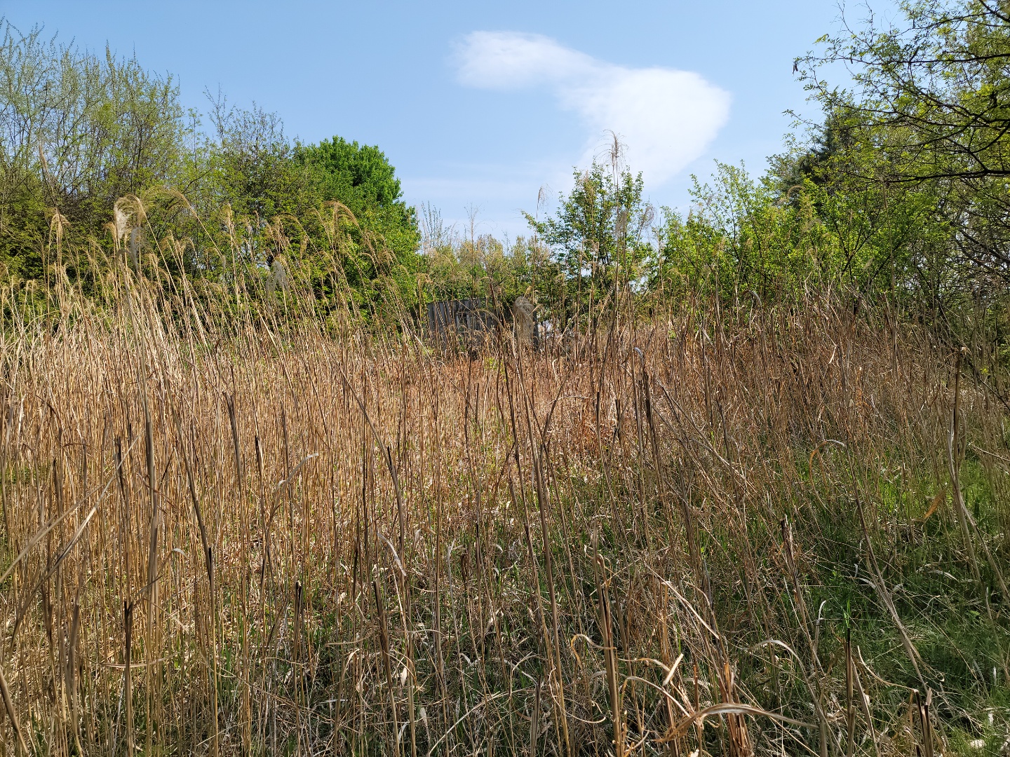 성주읍 예산리 전망좋은 땅 사진 - 4