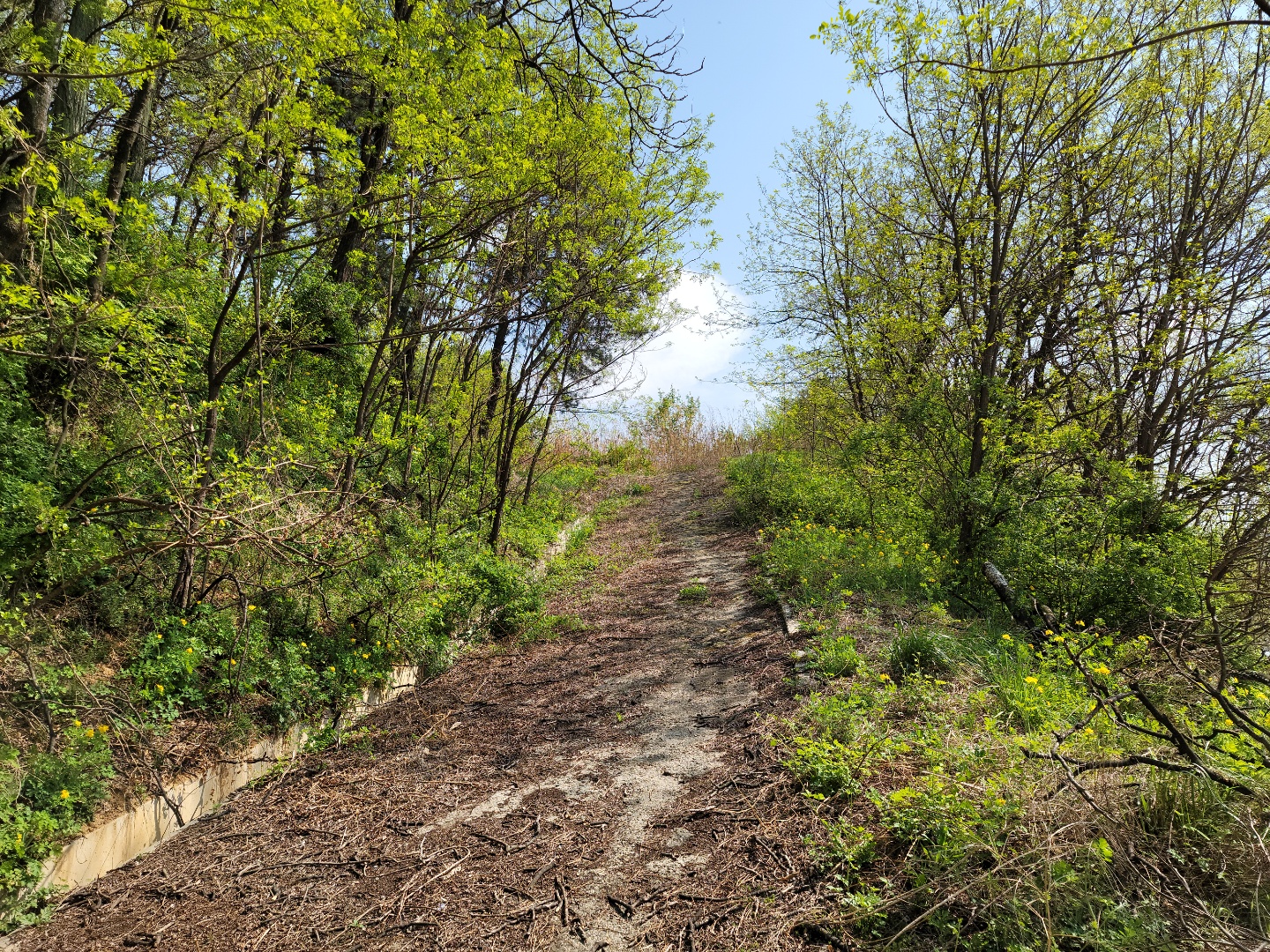 성주읍 예산리 전망좋은 땅 사진 - 6