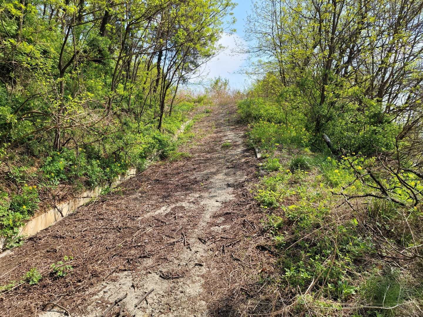 성주읍 예산리 전망좋은 땅 사진 - 7