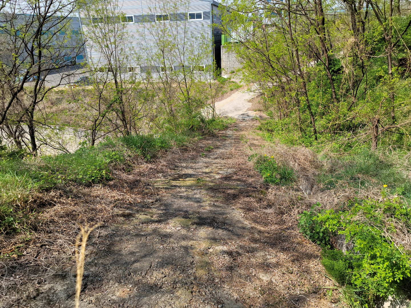 성주읍 예산리 전망좋은 땅 사진 - 8