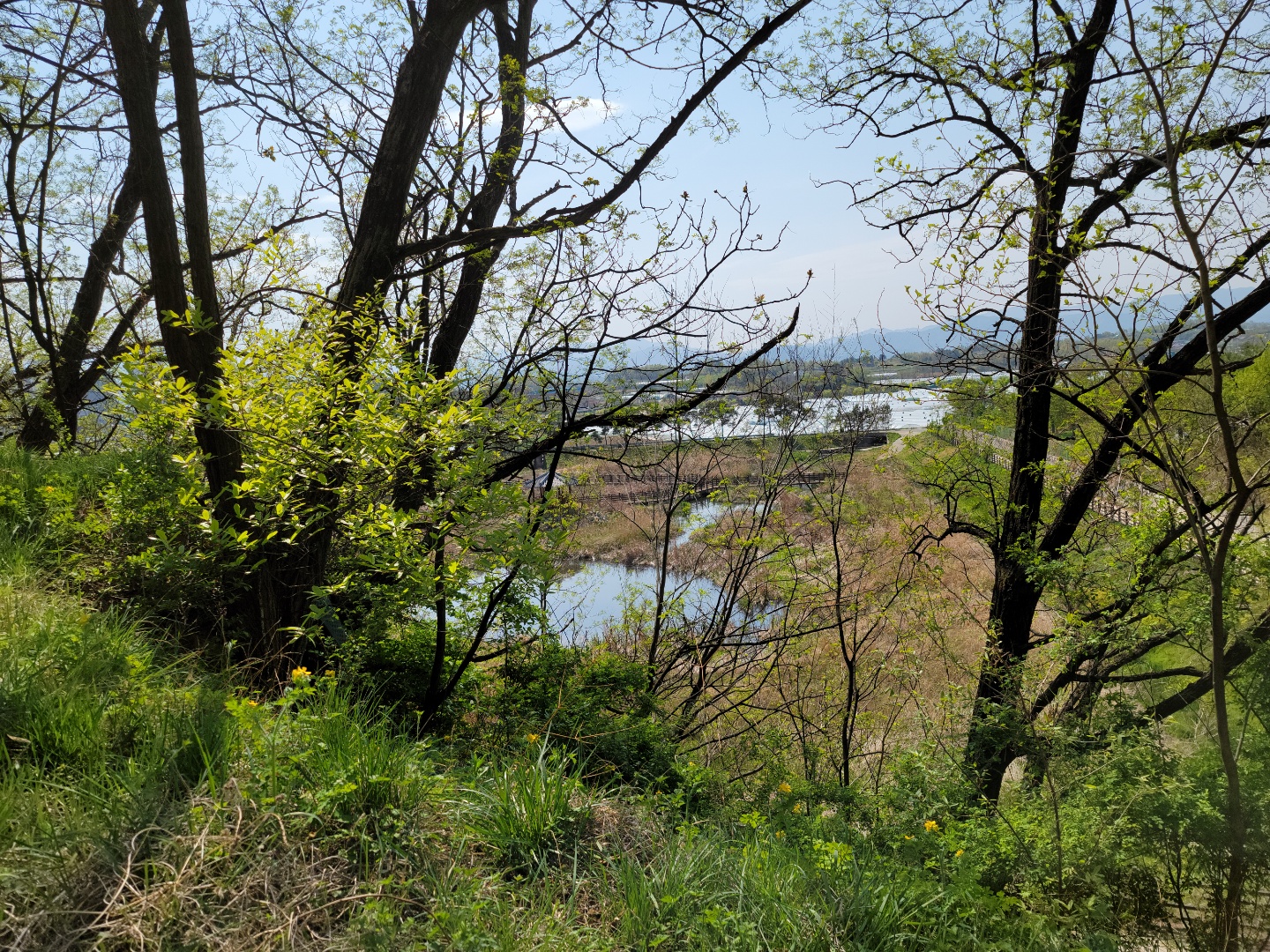 성주읍 예산리 전망좋은 땅 사진 - 9