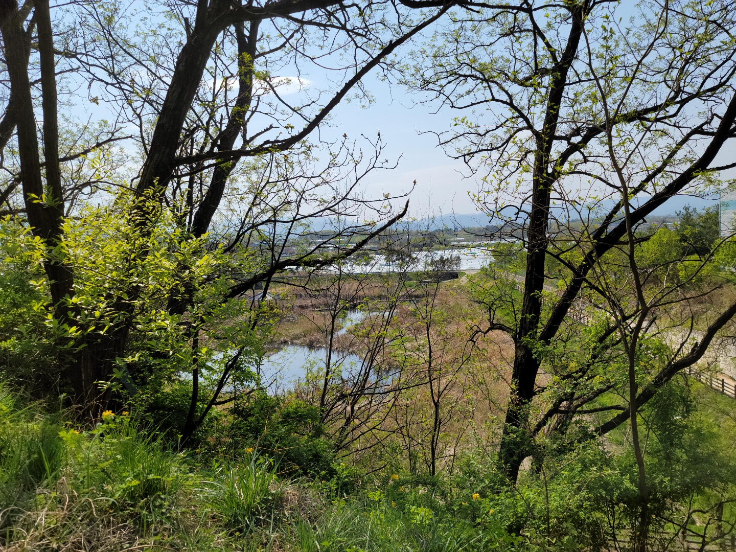 성주읍 예산리 전망좋은 땅 사진 - 10